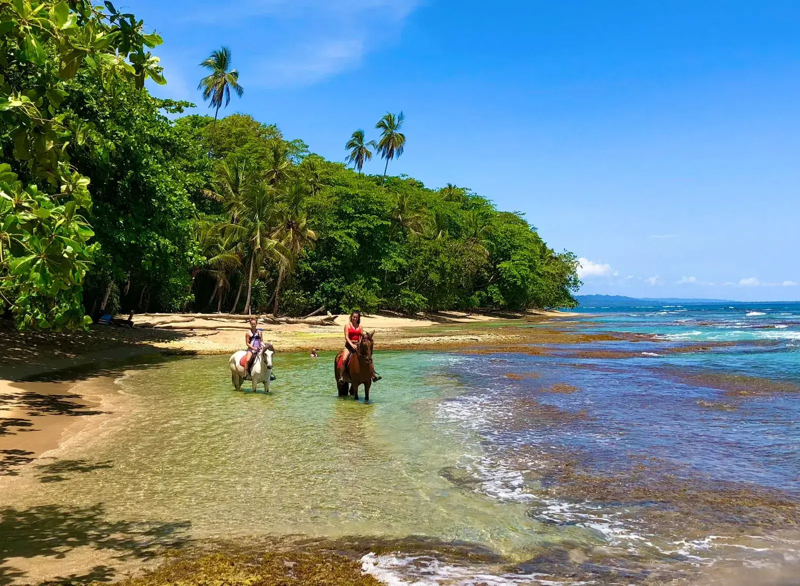 Two Caribe Horse riders crossing clear Caribbean water beside the rainforest