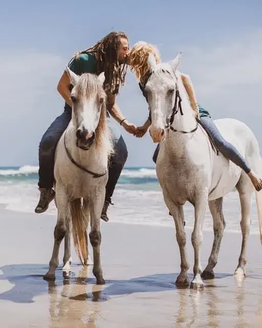 Honeymoon Rider Relax with Caribe Horse in Costa Rica